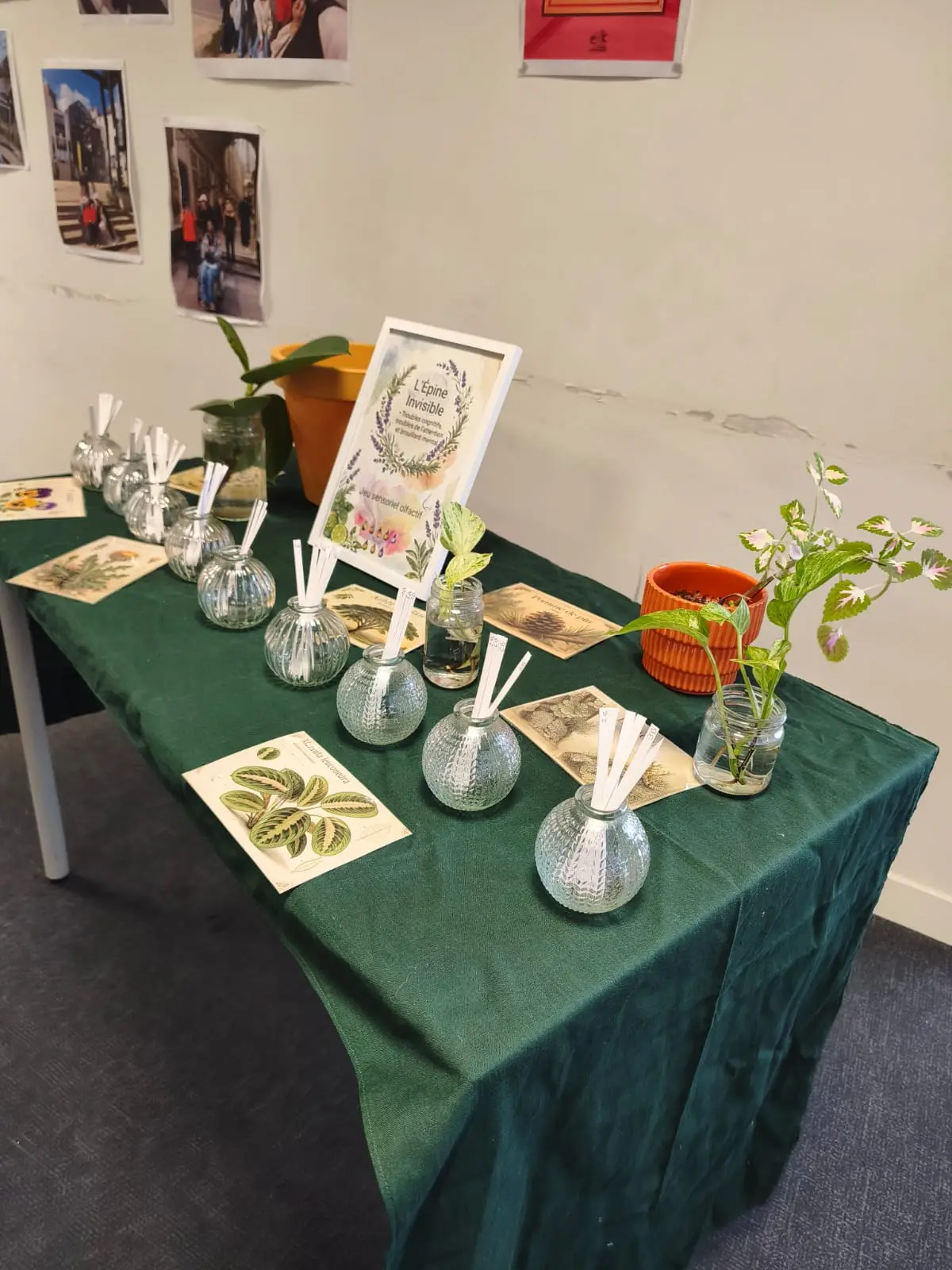 Table d’atelier olfactif dressée dans une salle de réunion : flacons, mouillettes et planches botaniques.