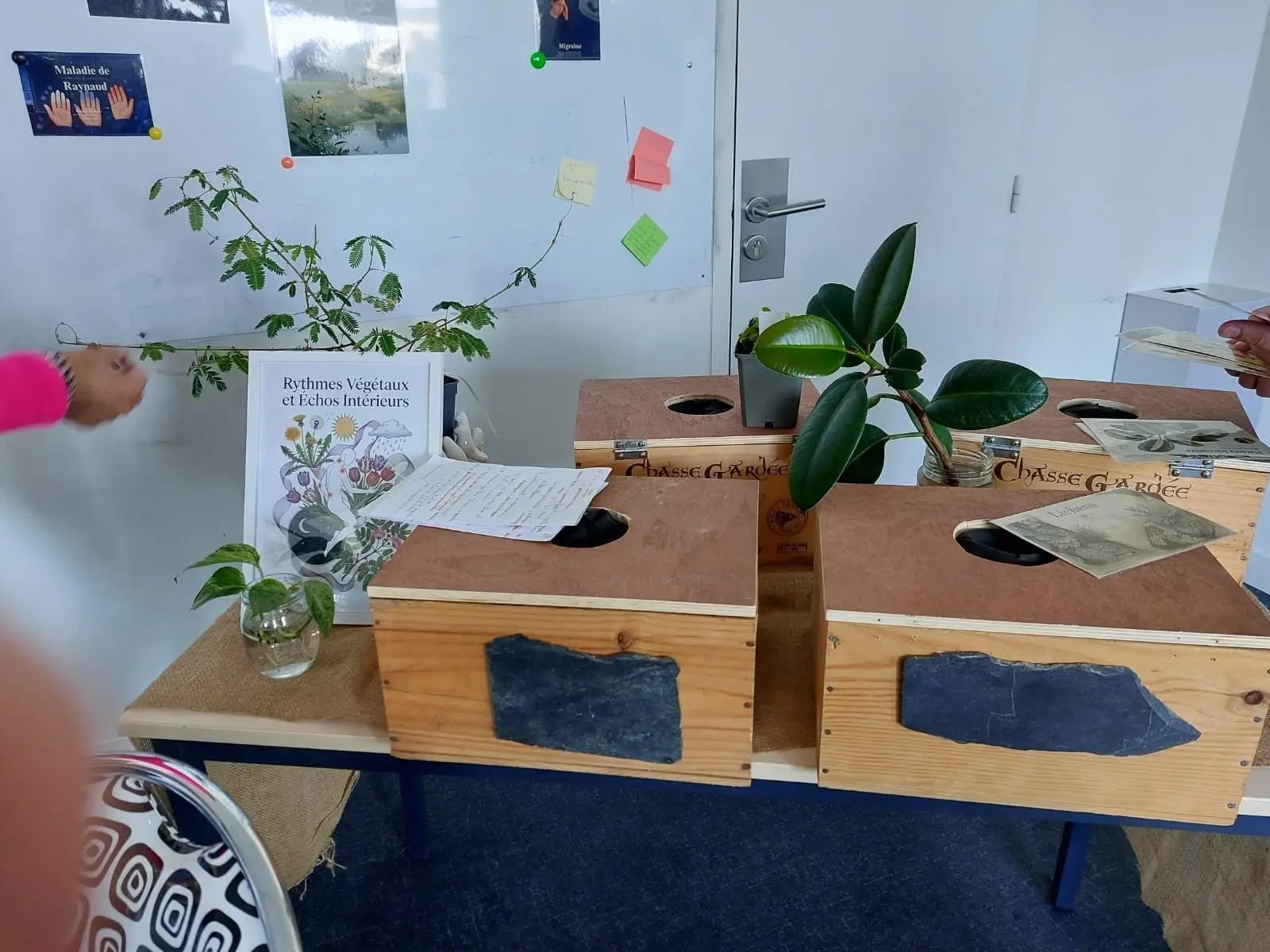 Atelier en entreprise : boîtes sensorielles en bois, plantes et livret « Rythmes végétaux et échos intérieurs ».
